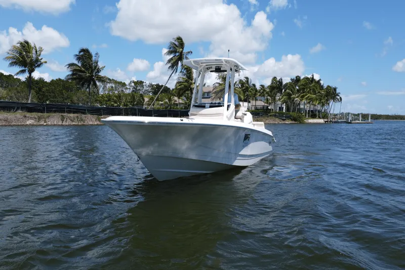 Slide: The Image of Boston Whaler 250 Dauntless 2025 - 7