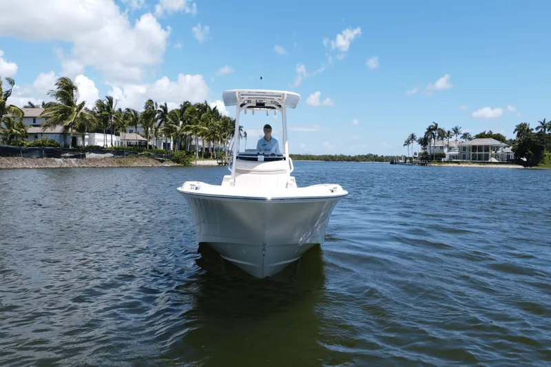 Slide: The Image of Boston Whaler 250 Dauntless 2025 - 8
