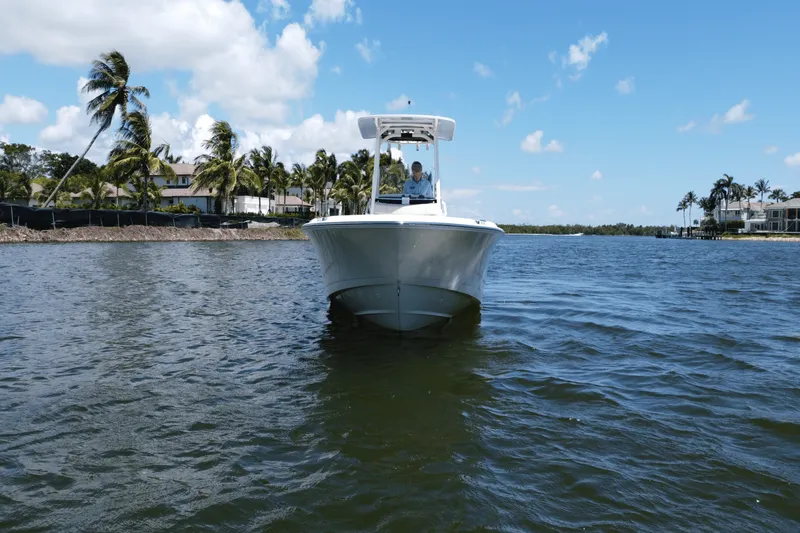 Slide: The Image of Boston Whaler 250 Dauntless 2025 - 9