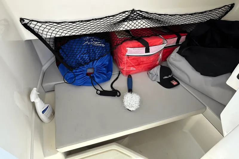 Slide: The Image of Sea Ray 250 SDX-OB 2023 - 23