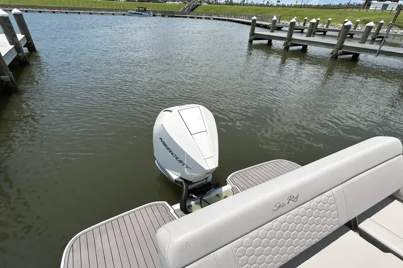 Slide: The Image of Sea Ray 250 SDX-OB 2023 - 24