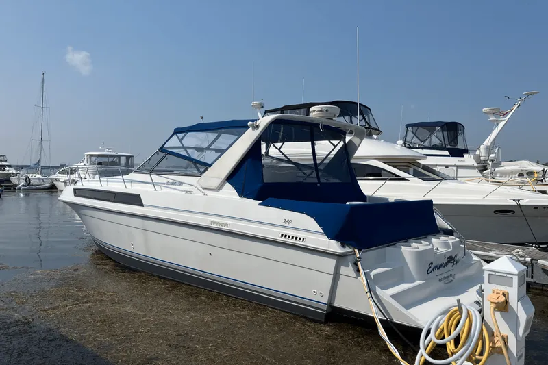 The Image of Carver 38 EXPRESS 1993 - 0