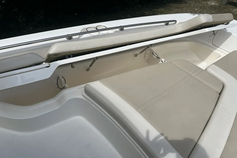 Slide: The Image of Boston Whaler 240 DAUNTLESS 2019 - 25