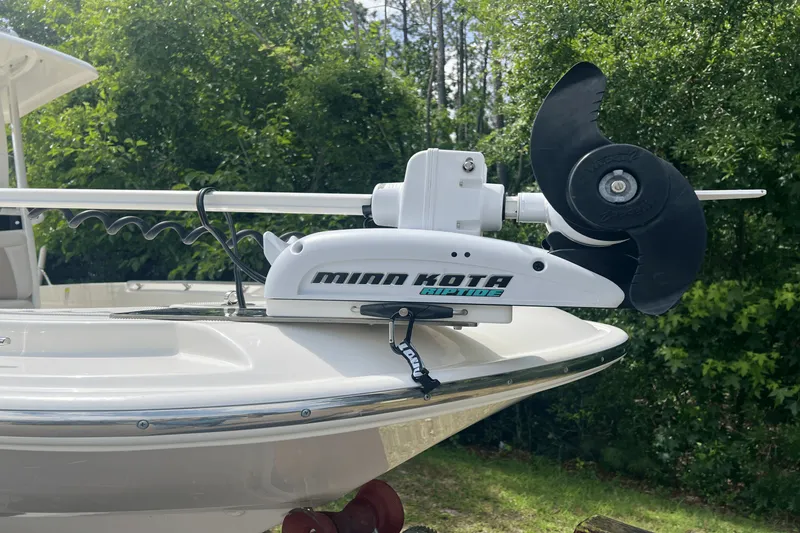 Slide: The Image of Boston Whaler 240 DAUNTLESS 2019 - 4