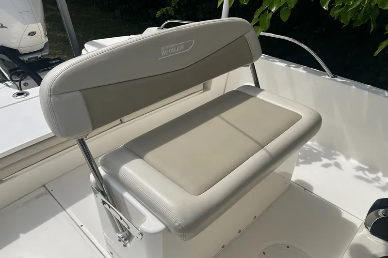 Slide: The Image of Boston Whaler 240 DAUNTLESS 2019 - 9