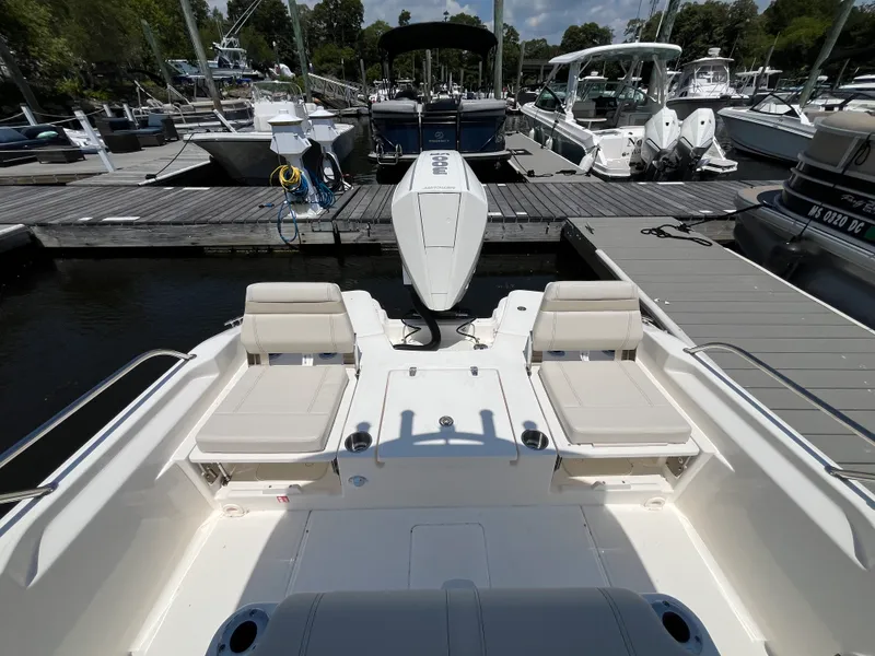 Slide: The Image of Boston Whaler 250 Dauntless 2026 - 4