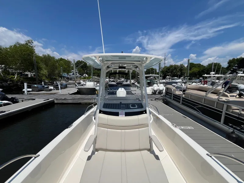 Slide: The Image of Boston Whaler 250 Dauntless 2026 - 28