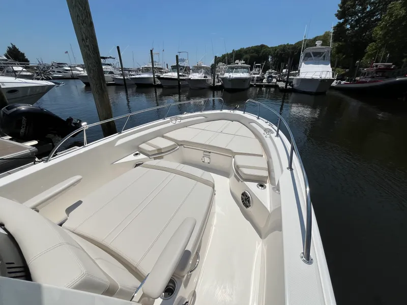Slide: The Image of Boston Whaler 250 Dauntless 2026 - 19