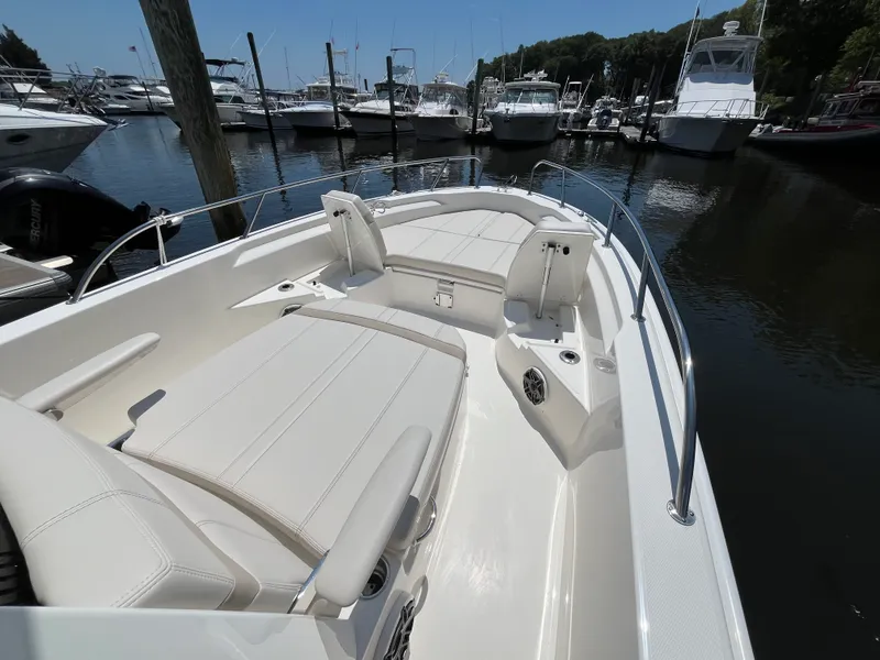 Slide: The Image of Boston Whaler 250 Dauntless 2026 - 21