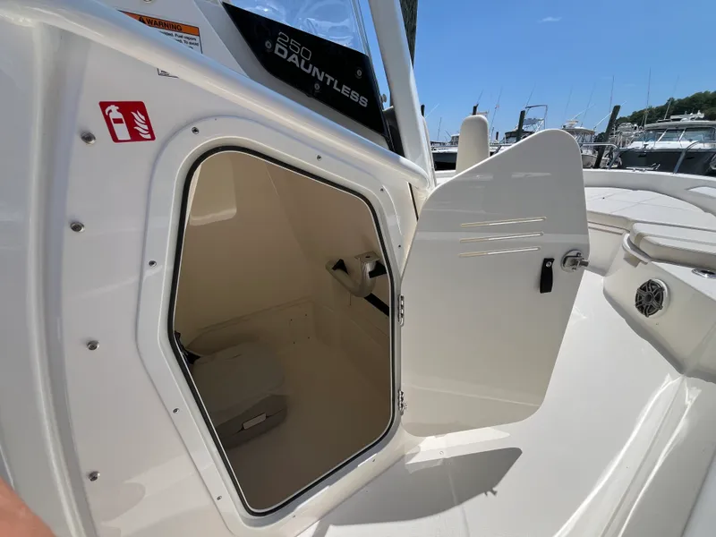 Slide: The Image of Boston Whaler 250 Dauntless 2026 - 17