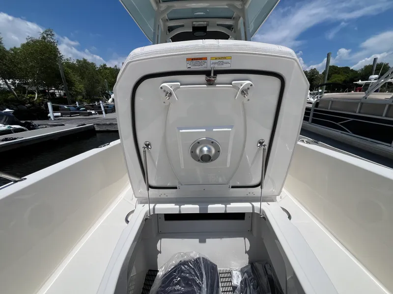 Slide: The Image of Boston Whaler 250 Dauntless 2026 - 31