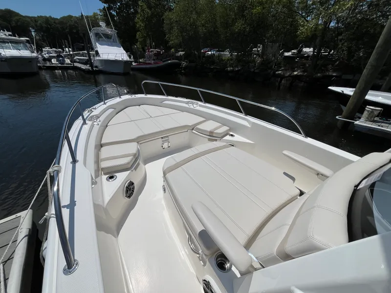 Slide: The Image of Boston Whaler 250 Dauntless 2026 - 20