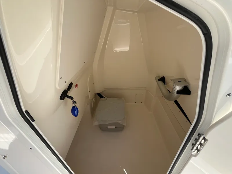 Slide: The Image of Boston Whaler 250 Dauntless 2026 - 18