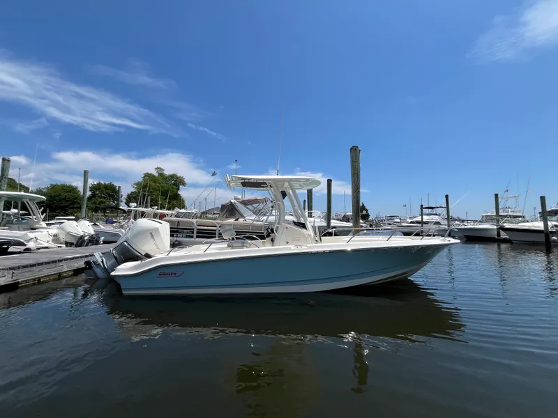 Slide: The Image of Boston Whaler 250 Dauntless 2026 - 32