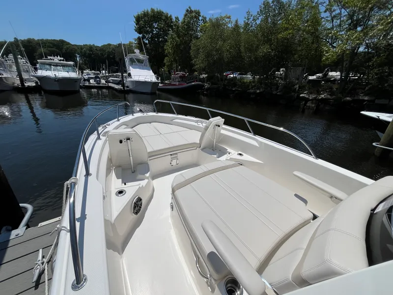 Slide: The Image of Boston Whaler 250 Dauntless 2026 - 22