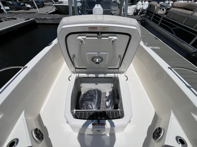 Slide: The Image of Boston Whaler 250 Dauntless 2026 - 29