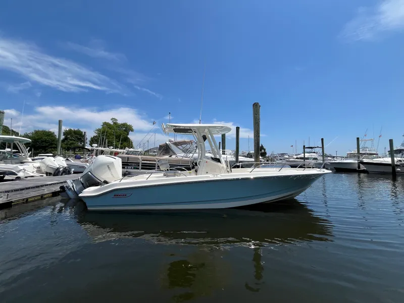 The Image of Boston Whaler 250 Dauntless 2026 - 0