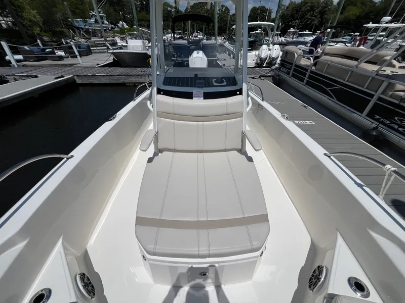 Slide: The Image of Boston Whaler 250 Dauntless 2026 - 27
