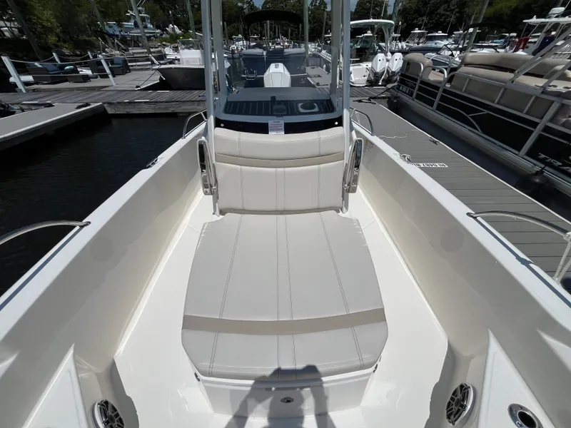Slide: The Image of Boston Whaler 250 Dauntless 2026 - 26