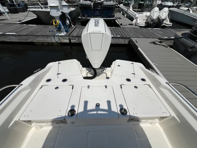 Slide: The Image of Boston Whaler 250 Dauntless 2026 - 2