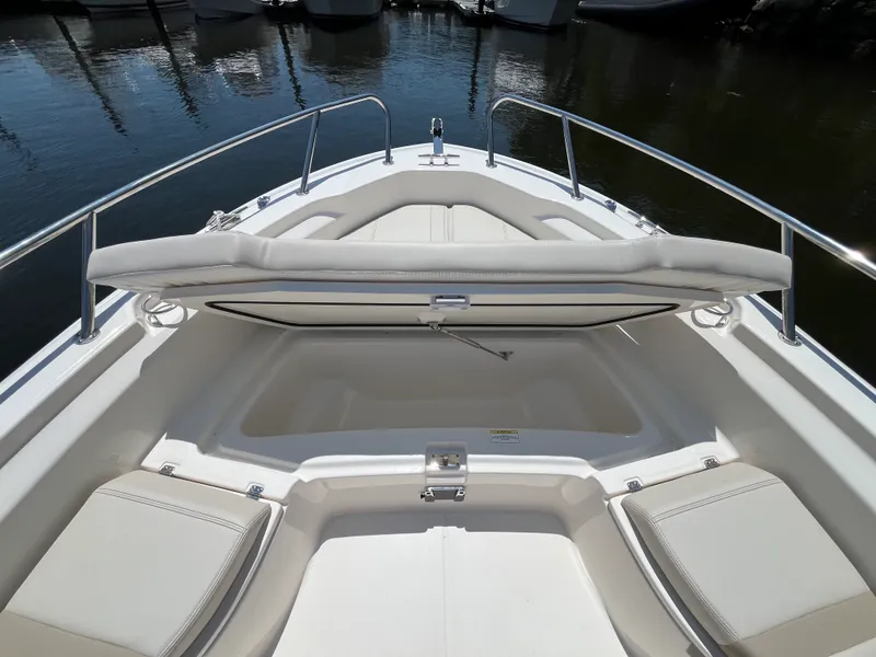 Slide: The Image of Boston Whaler 250 Dauntless 2026 - 25
