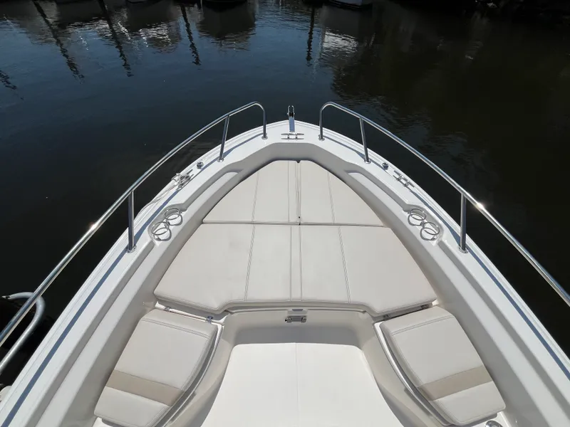 Slide: The Image of Boston Whaler 250 Dauntless 2026 - 23