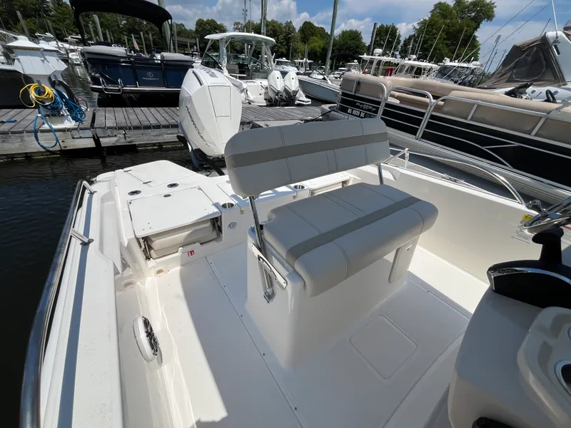 Slide: The Image of Boston Whaler 250 Dauntless 2026 - 10