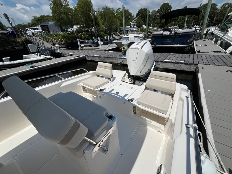 Slide: The Image of Boston Whaler 250 Dauntless 2026 - 11