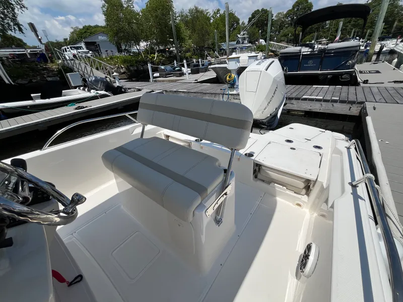 Slide: The Image of Boston Whaler 250 Dauntless 2026 - 9
