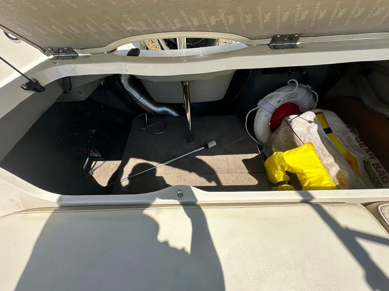 Slide: The Image of Stingray 234 LR 2016 - 51