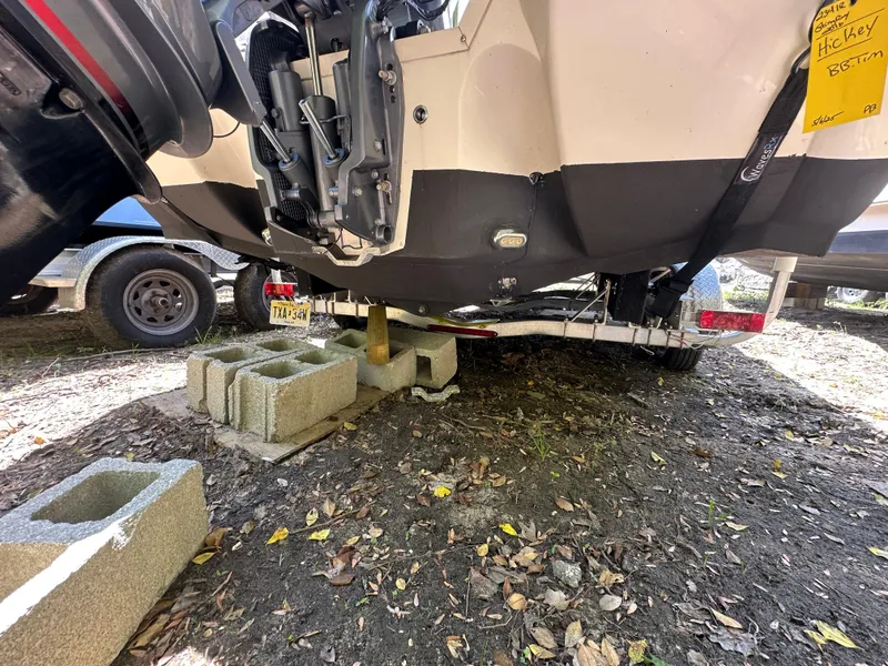 Slide: The Image of Stingray 234 LR 2016 - 77