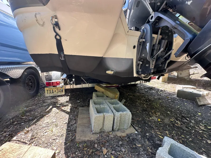 Slide: The Image of Stingray 234 LR 2016 - 78