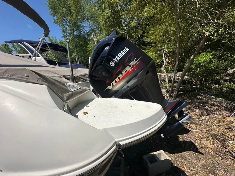 Slide: The Image of Stingray 234 LR 2016 - 79