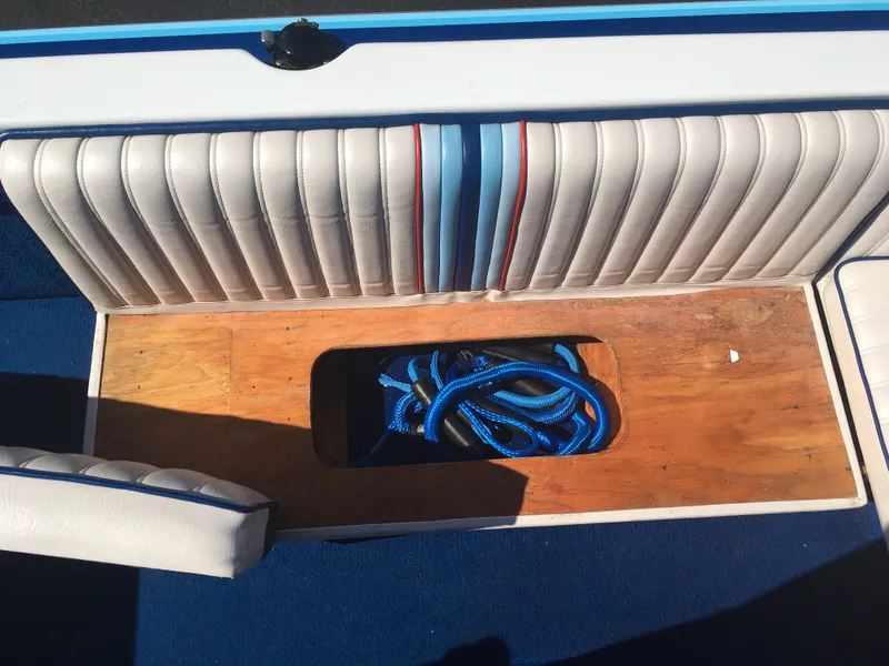 Slide: The Image of Sanger 1992 - 12