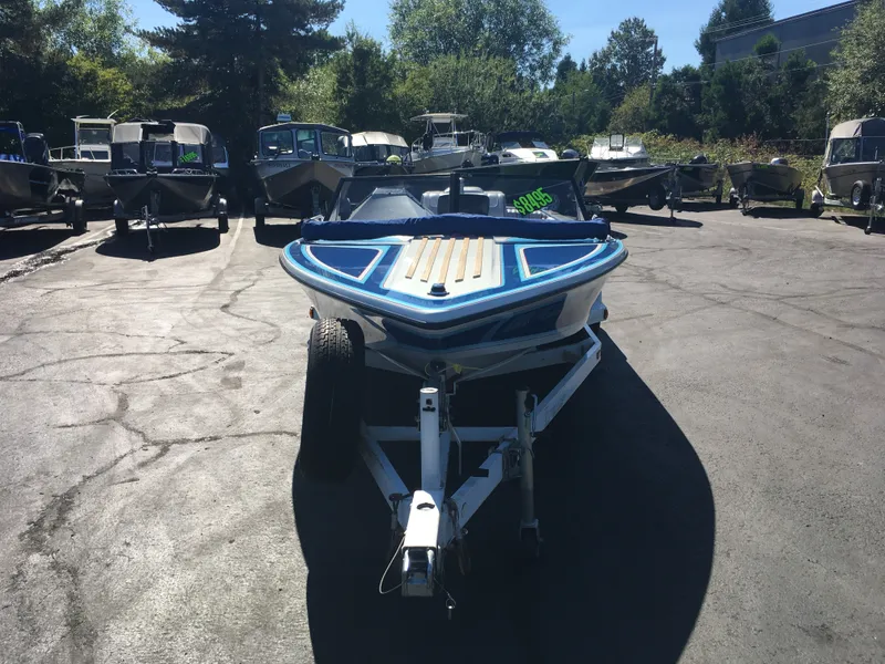 Slide: The Image of Sanger 1992 - 7