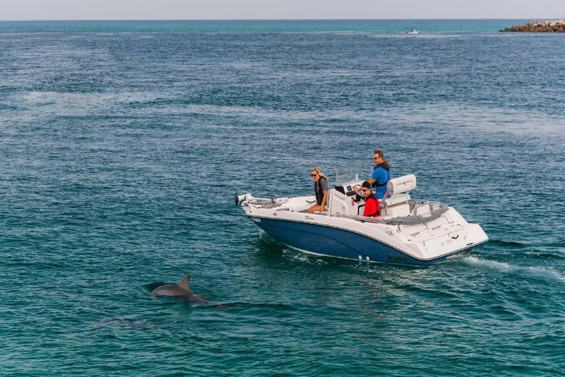 Slide: The Image of 2023 Yamaha Boats 190 FSH Deluxe cruising with dolphin in clear blue waters. - 3