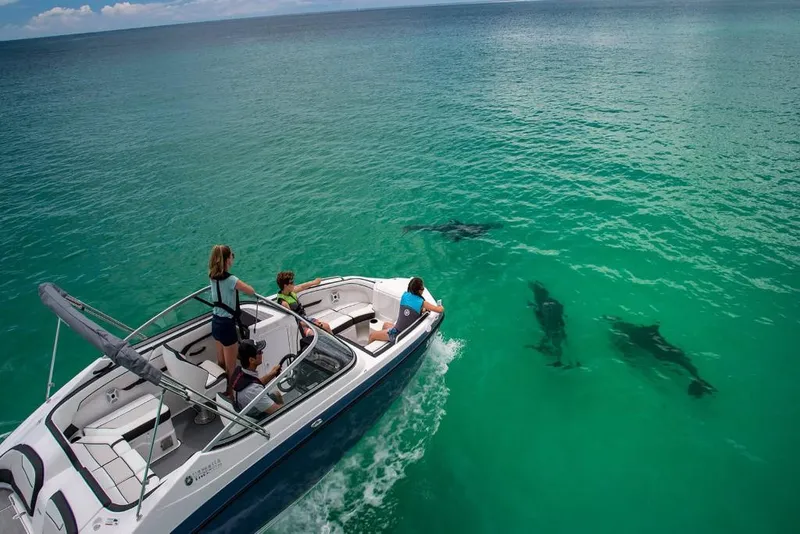 Slide: The Image of 2023 Yamaha Boats SX210 cruising with dolphins in clear turquoise water. - 3
