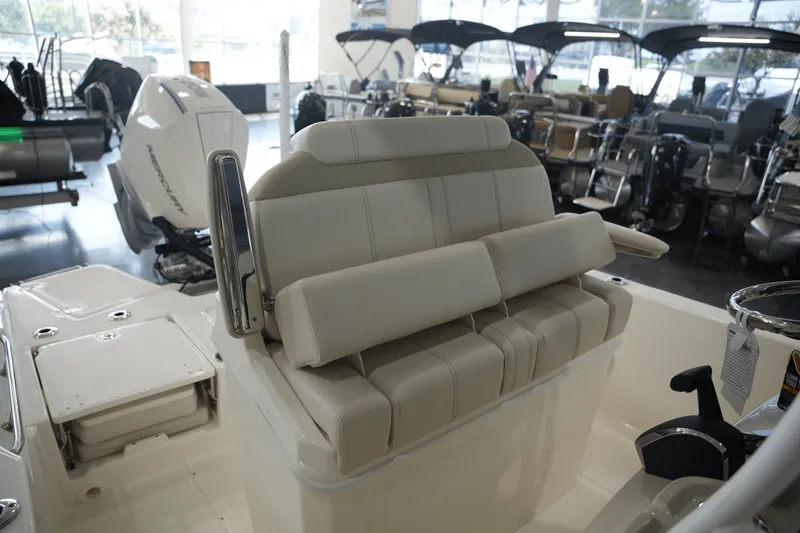 Slide: The Image of Boston Whaler 250 Dauntless 2025 - 14