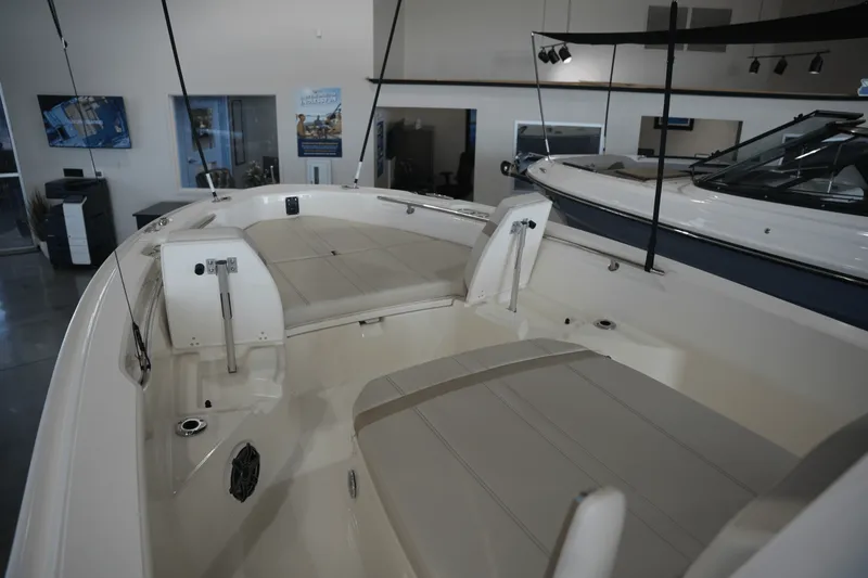 Slide: The Image of Boston Whaler 250 Dauntless 2025 - 19