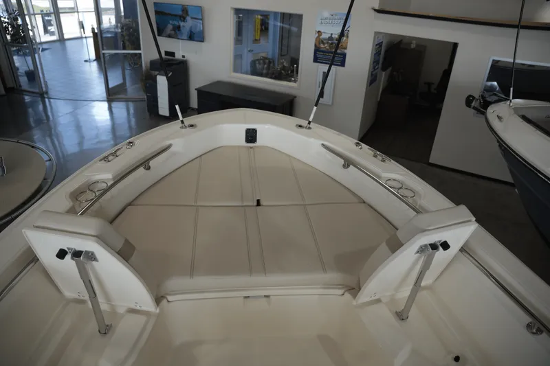 Slide: The Image of Boston Whaler 250 Dauntless 2025 - 21