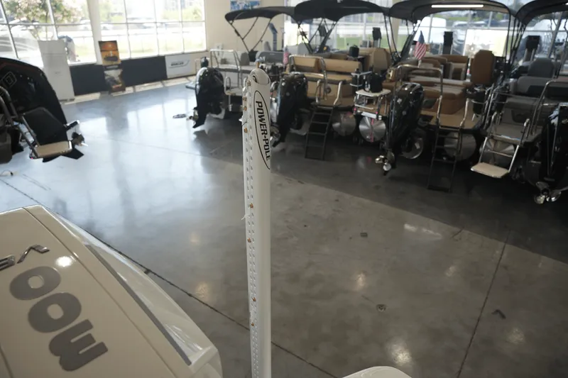 Slide: The Image of Boston Whaler 250 Dauntless 2025 - 22