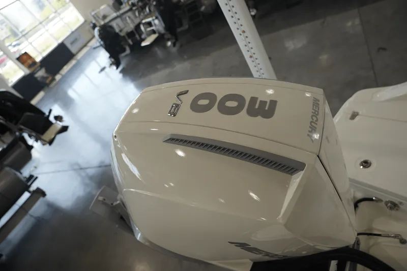 Slide: The Image of Boston Whaler 250 Dauntless 2025 - 23