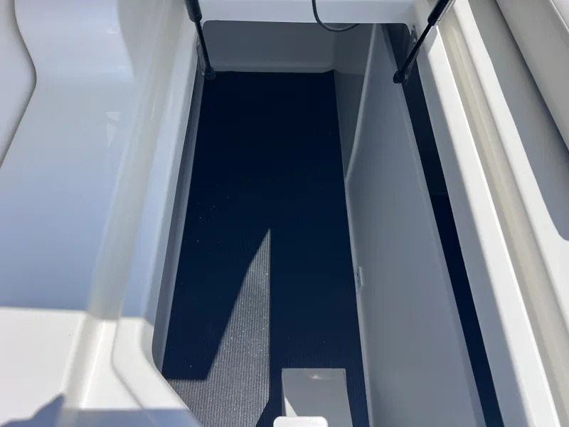 Slide: The Image of Sea Ray SDX 290 Outboard 2026 - 29