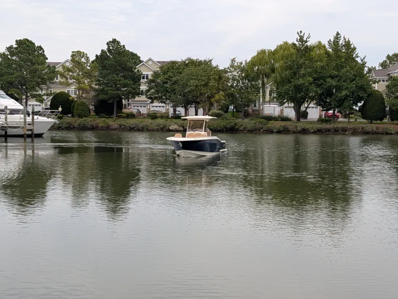 Slide: The Image of Scout 277 LXF 2024 - 5