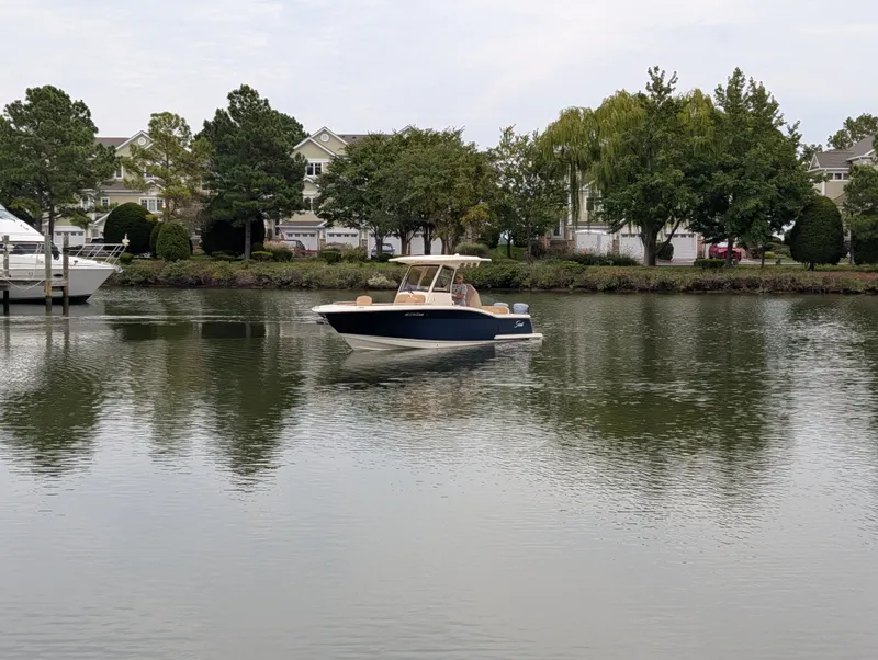 Slide: The Image of Scout 277 LXF 2024 - 6