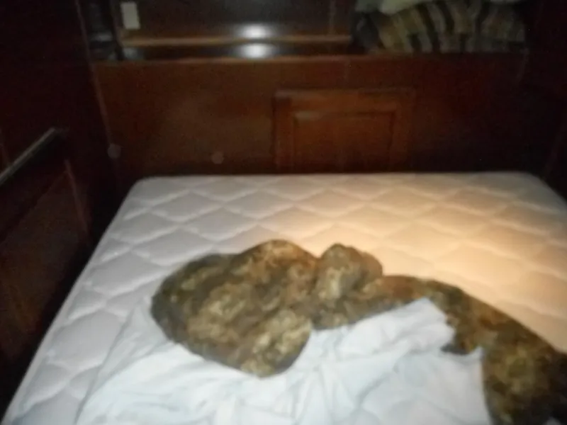 Slide: The Image of Interior of yacht with unmade bed, Sharpe Kohala Sun Trip 2008. - 27