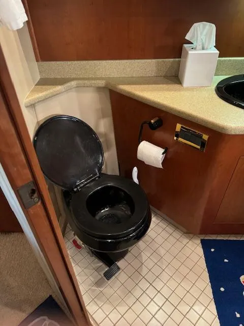 Slide: The Image of Bathroom in 2000 Cruisers Yachts 4450 Express Motor Yacht with black toilet and countertop. - 37