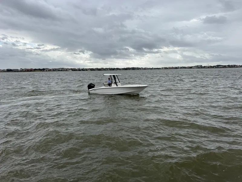 The Image of Boston Whaler 250 Dauntless 2025 - 0