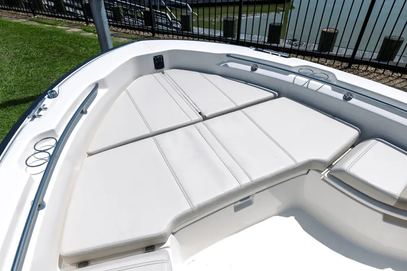 Slide: The Image of Boston Whaler 250 Dauntless 2025 - 15