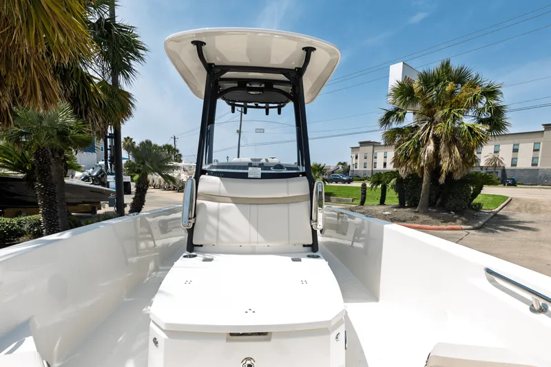 Slide: The Image of Boston Whaler 250 Dauntless 2025 - 19